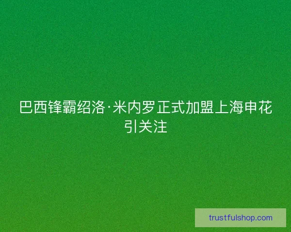巴西锋霸绍洛·米内罗正式加盟上海申花引关注