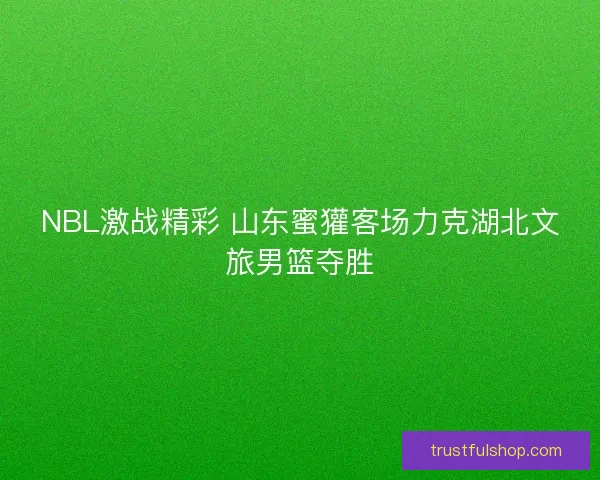 NBL激战精彩 山东蜜獾客场力克湖北文旅男篮夺胜